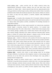 Komerciniai bankai ir jų rizikos valdymas 3 puslapis