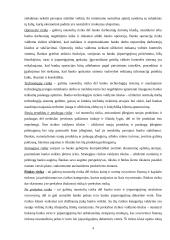 Komerciniai bankai ir jų rizikos valdymas 4 puslapis