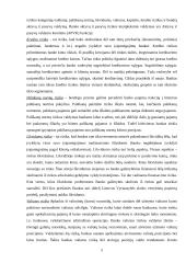 Komerciniai bankai ir jų rizikos valdymas 5 puslapis