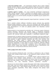 Nusikaltimai internetinėje erdvėje 2 puslapis