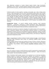 Nusikaltimai internetinėje erdvėje 3 puslapis