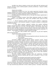 Konfliktas organizacijos sociologijoje 2 puslapis