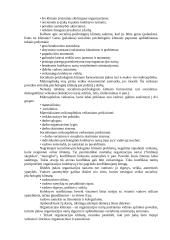 Konfliktas organizacijos sociologijoje 12 puslapis