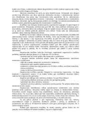 Konfliktas organizacijos sociologijoje 3 puslapis