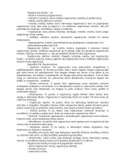 Konfliktas organizacijos sociologijoje 7 puslapis