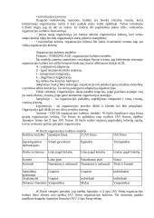 Konfliktas organizacijos sociologijoje 8 puslapis