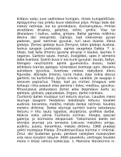 Lietuvių literatūros teorija 2 puslapis