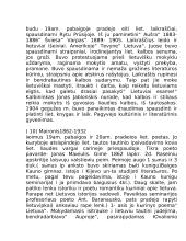 Lietuvių literatūros teorija 14 puslapis