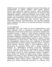 Lietuvių literatūros teorija 8 puslapis