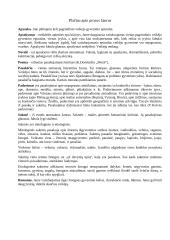 Literatūros teorija 2 puslapis