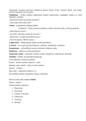 Literatūros teorija 6 puslapis