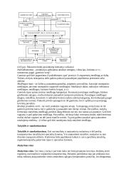 Viskas apie logistiką 13 puslapis