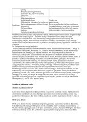 Viskas apie logistiką 3 puslapis