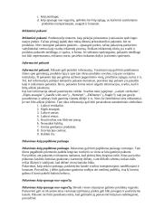 Viskas apie logistiką 10 puslapis