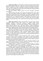 Logistikos naujovės 3 puslapis