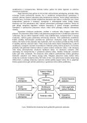 Logistikos naujovės 9 puslapis