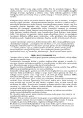 Mados sociologija 2 puslapis