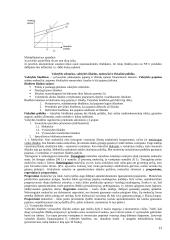 Makroekonomikos problemos ir tikslai 13 puslapis