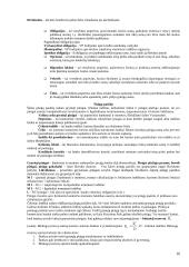 Makroekonomikos problemos ir tikslai 16 puslapis