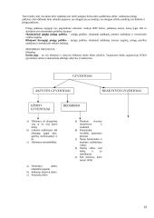 Makroekonomikos problemos ir tikslai 19 puslapis