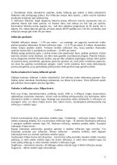 Makroekonomikos paskaitų teorija 13 puslapis