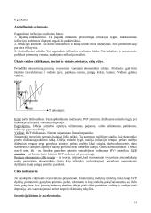 Makroekonomikos paskaitų teorija 14 puslapis