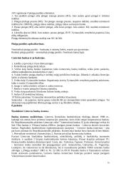 Makroekonomikos paskaitų teorija 16 puslapis