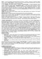 Marketingo sąvokos ir terminai 11 puslapis