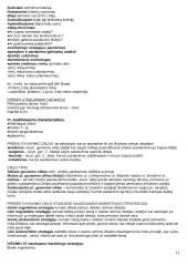 Marketingo sąvokos ir terminai 13 puslapis
