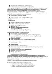 Medžiagų apykaita 2 puslapis