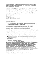 Medžiagų apykaita 3 puslapis