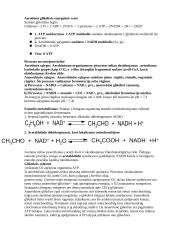 Medžiagų apykaita 5 puslapis