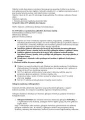 Medžiagų apykaita 6 puslapis