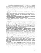 Išsami meno istorija 11 puslapis