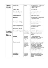 Klinikinės medžiagos mikrobiologinis tyrimas 4 puslapis