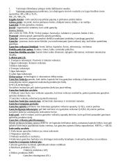 Rinkos paklausa ir vartotojo elgsena 2 puslapis