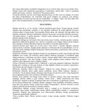 Mitinis pasaulėvaizdis 11 puslapis