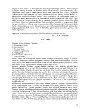 Mitinis pasaulėvaizdis 16 puslapis