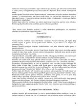 Mitinis pasaulėvaizdis 4 puslapis