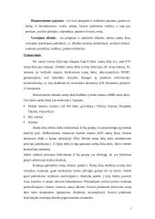 Namų ūkių biudžetų tyrimas bei pajamų/išlaidų skaičiavimai 3 puslapis