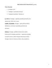 Organizacijos strategija