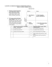Organizacijos strategija 2 puslapis