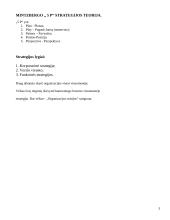 Organizacijos strategija 3 puslapis