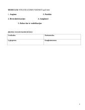 Organizacijos strategija 4 puslapis