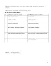 Organizacijos strategija 6 puslapis