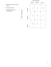 Organizacijos strategija 7 puslapis