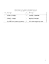 Organizacijos strategija 8 puslapis