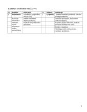 Organizacijos strategija 9 puslapis