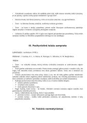 Pagrindinės teisės sampratos 2 puslapis