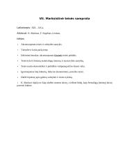 Pagrindinės teisės sampratos 5 puslapis